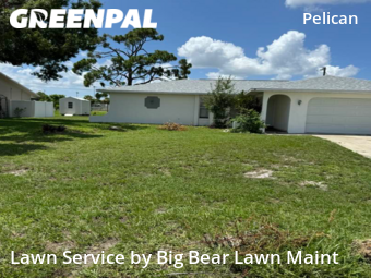 Yard Cutting nearby Cape Coral, FL, 