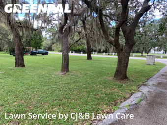 Yard Cutting nearby New Port Richey, FL, 