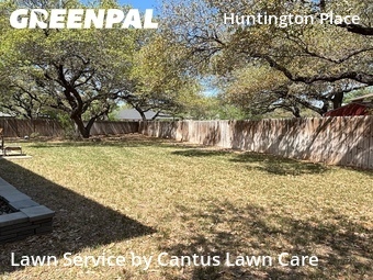 Grass Cut nearby San Antonio, TX, 