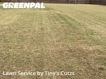 Weed Trimming in Sparks, 31647, Mowing Services by Tiny's Cutzs , work completed in Nov , 2025