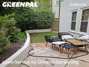Backyard Landscaping In Santa Clarita,91355,Landscapers by Olivares Gardening , work completed in Jan , 2026