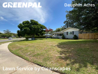 Grass Cut nearby Mobile, AL, 