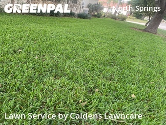 Yard Cutting nearby Coral Springs, FL, 