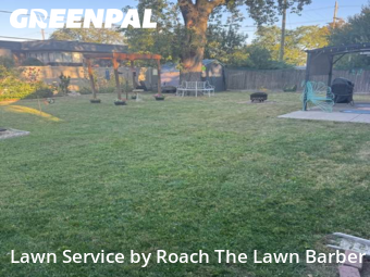 Grass Cut nearby Joliet, IL, 