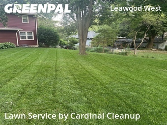 Grass Cut nearby Omaha, NE, 