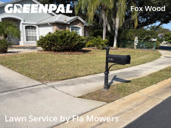 Yard Mowing nearby Trinity, FL, 