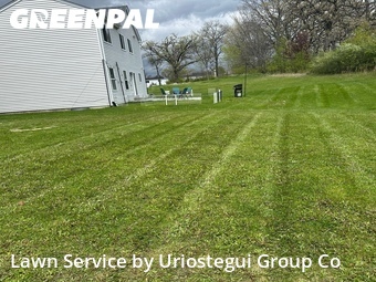 Lawn Cutting nearby Hainesville, IL, 