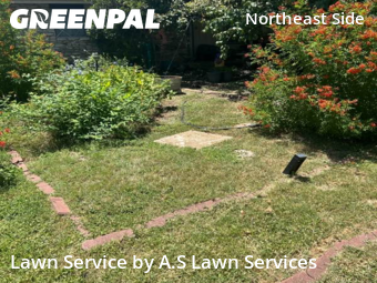 Lawn Mowing nearby Converse, TX, 