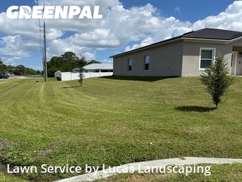 Grass Cut nearby Palm Bay, FL, 