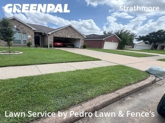 Grass Cut nearby Katy, TX, 