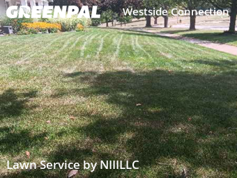 Lawn Maintenance nearby Grand Rapids, MI, 