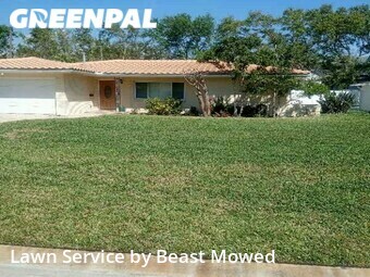 Lawn Mow nearby St. Petersburg, FL, 