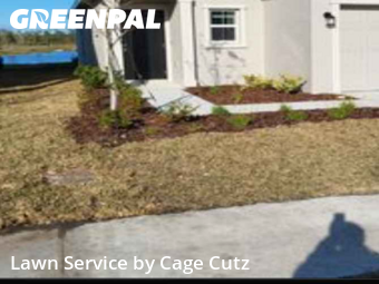 Grass Cut nearby Daytona Beach, FL, 