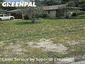 Yard Cutting nearby Spring Hill, FL, 