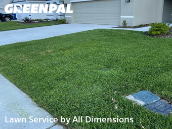 Lawn Care nearby Wesley Chapel, FL, 