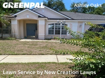 Lawn Maintenance nearby Riverview, FL, 