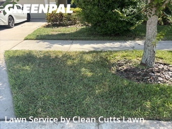 Lawn Mowing Service nearby Apollo Beach, FL, 
