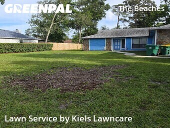 Yard Cutting nearby Jacksonville Beach, FL, 