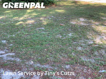 Yard Mowing nearby Valdosta, GA, 