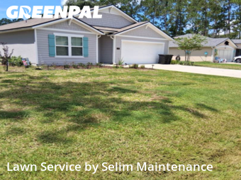 Grass Cutting nearby Palm Coast, FL, 