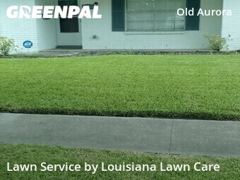 Lawn Cutting nearby New Orleans, LA, 