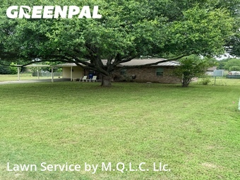 Grass Cuttingin New Braunfels,78130,Lawn Cutting by M.Q.L.C. Llc., work completed in Jun , 2026