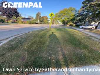 Yard Management in Rolling Meadows, 60008, Garden Trimming by Fatherandsonhandyman, work completed in Nov , 2025