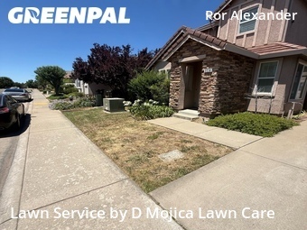 Lawn Mow nearby Gold River, CA, 