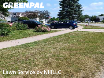 Grass Cut nearby Grand Rapids, MI, 