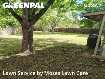 Lawn Mow nearby San Antonio, TX, 