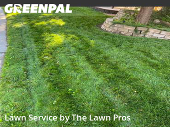 Lawn Mowing Service nearby Longmont, CO, 