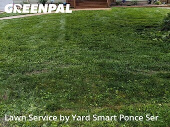 Lawn Mowing nearby Westmont, IL, 