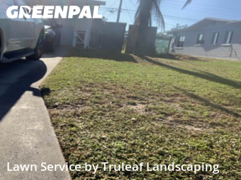 Lawn Cutting nearby Bradenton, FL, 