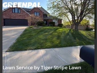 Lawn Cut nearby Papillion, NE, 