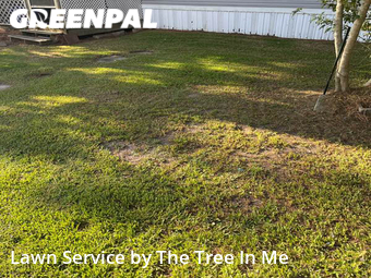 Lawn Care Service nearby Jacksonville, NC, 