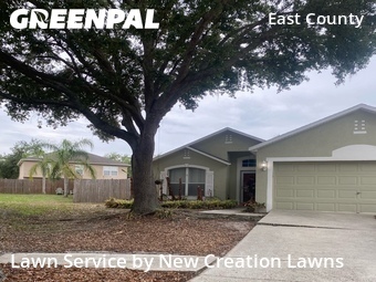 Yard Cutting nearby Valrico, FL, 