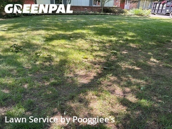 Lawn Mow nearby East Amherst, NY, 