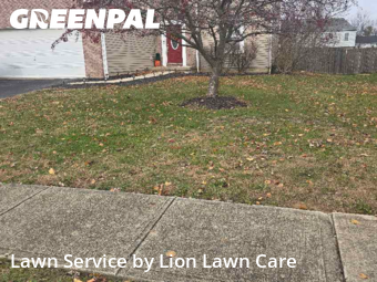 Lawn Mow nearby Commercial Point, OH, 