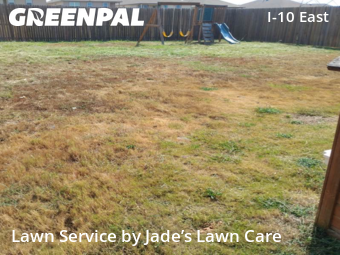 Grass Cut nearby San Antonio, TX, 