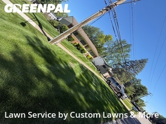 Grass Cutting nearby Westland, MI, 