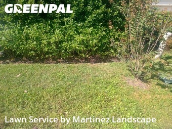 Grass Services in Horizon West, 34786, Lawn Work by Martinez Landscape, work completed in Dec , 2025