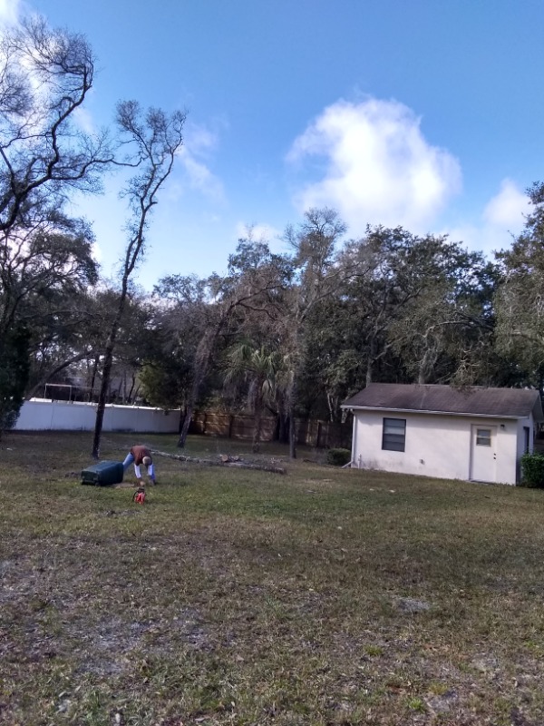 Graves Lawns And Lan Lawn Care Services in Spring Hill, FL