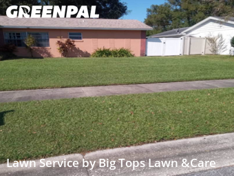 Grass Cutting nearby Winter Park, FL, 