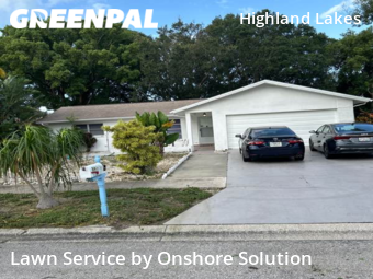 Lawn Mowing nearby Palm Harbor, FL, 