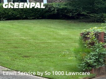 Lawn Care nearby Decatur, GA, 