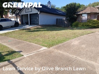 Lawn Servicein Keller,76248,Yard Cutting by Olive Branch Lawn, work completed in Nov , 2025