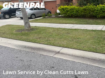 Grass Cutting nearby Riverview, FL, 