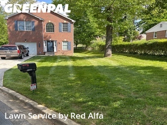 Grass Cut nearby Temple Hills, MD, 
