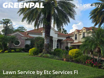 Lawn Cutin Palm Harbor,34685,Lawn Cutting by Etc Services Fl, work completed in Nov , 2025