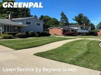 Grass Cut nearby Taylor, MI, 